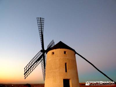 Aceite Cornicabra; Mora; Tembleque; Toledo; circuitos culturales;viajes febrero